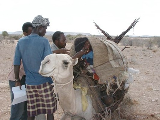 Polio immunization of a nomadic child. Frequent population movements across Somalia meant that children of nomadic populations were at particular risk of polio.