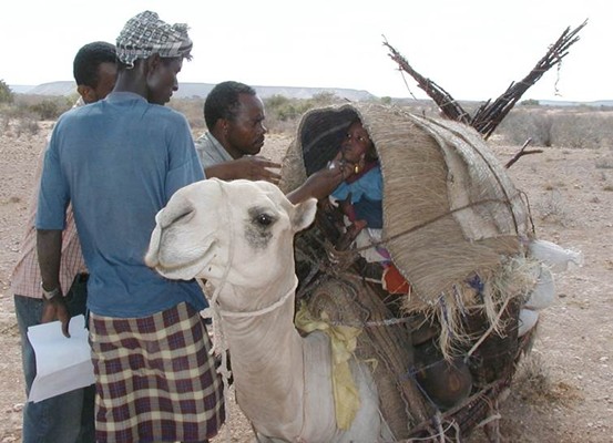 Committed health workers and volunteers have gone to great lengths across Somalia to reach even the most remote children with polio vaccines. 